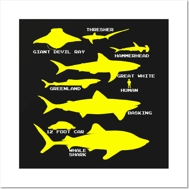 Shark Size | Ocean Sea Animal Fish Fishing Wall Art by encycloart